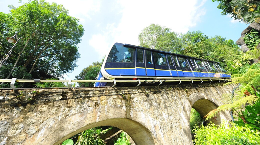 Penang Hill featuring railway items