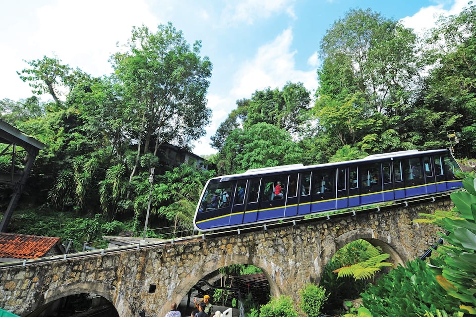 A blue and yellow train on a stone bridge surrounded by lush greenery.