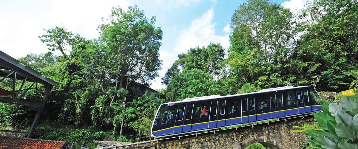A blue and yellow train on a stone bridge surrounded by lush greenery.