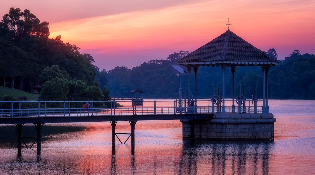 Riserva naturale di MacRitchie