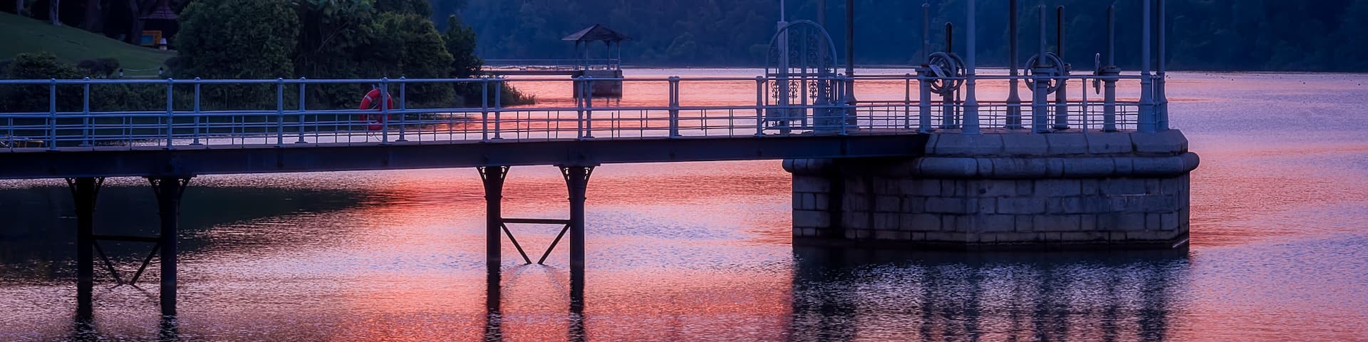MacRitchie Reservoir