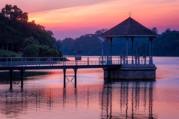 MacRitchie Reservoir