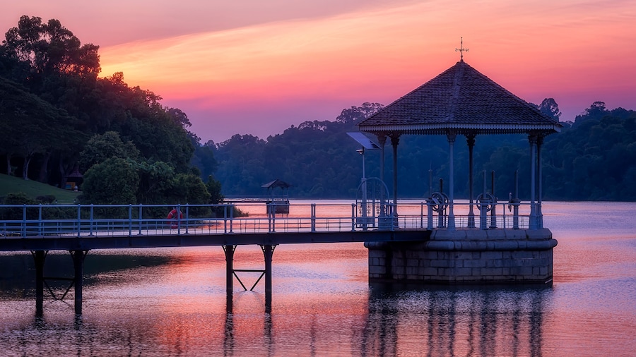 MacRitchie Reservoir