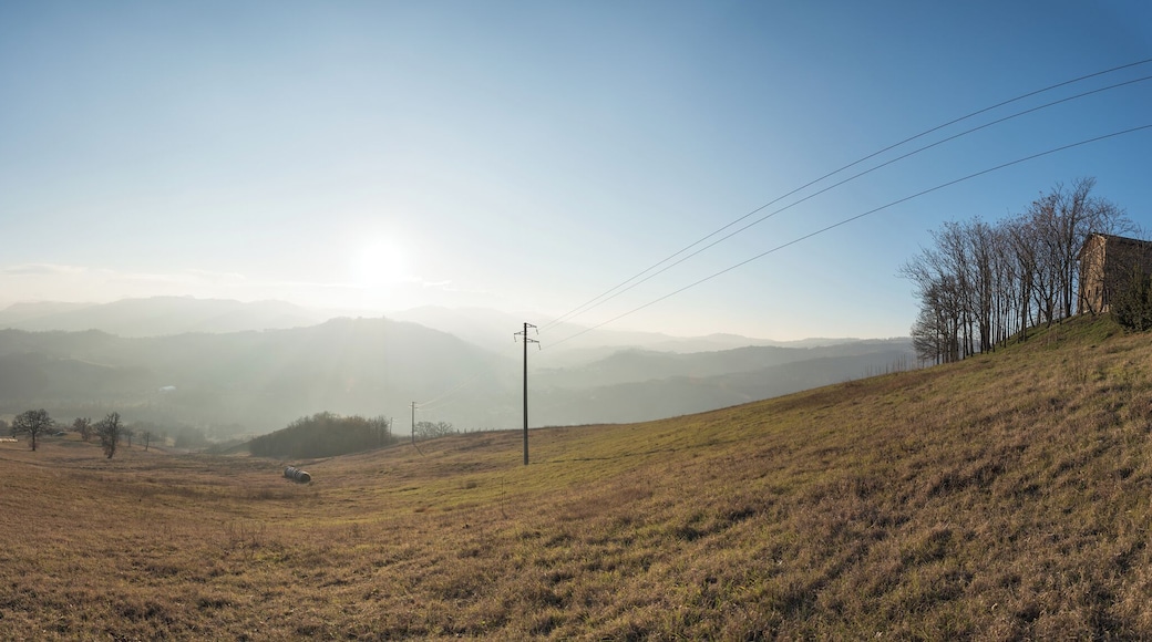 Appennino Reggiano - Scandiano (RE) Italia - 1 Febbraio 2015