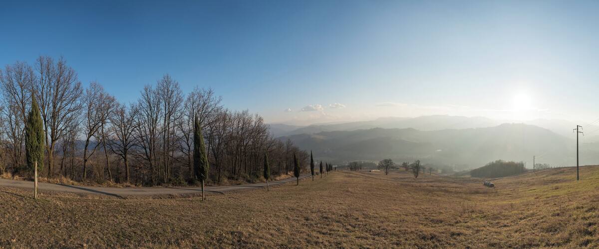 A rural landscape with a road, trees, and distant mountains under a clear sky.