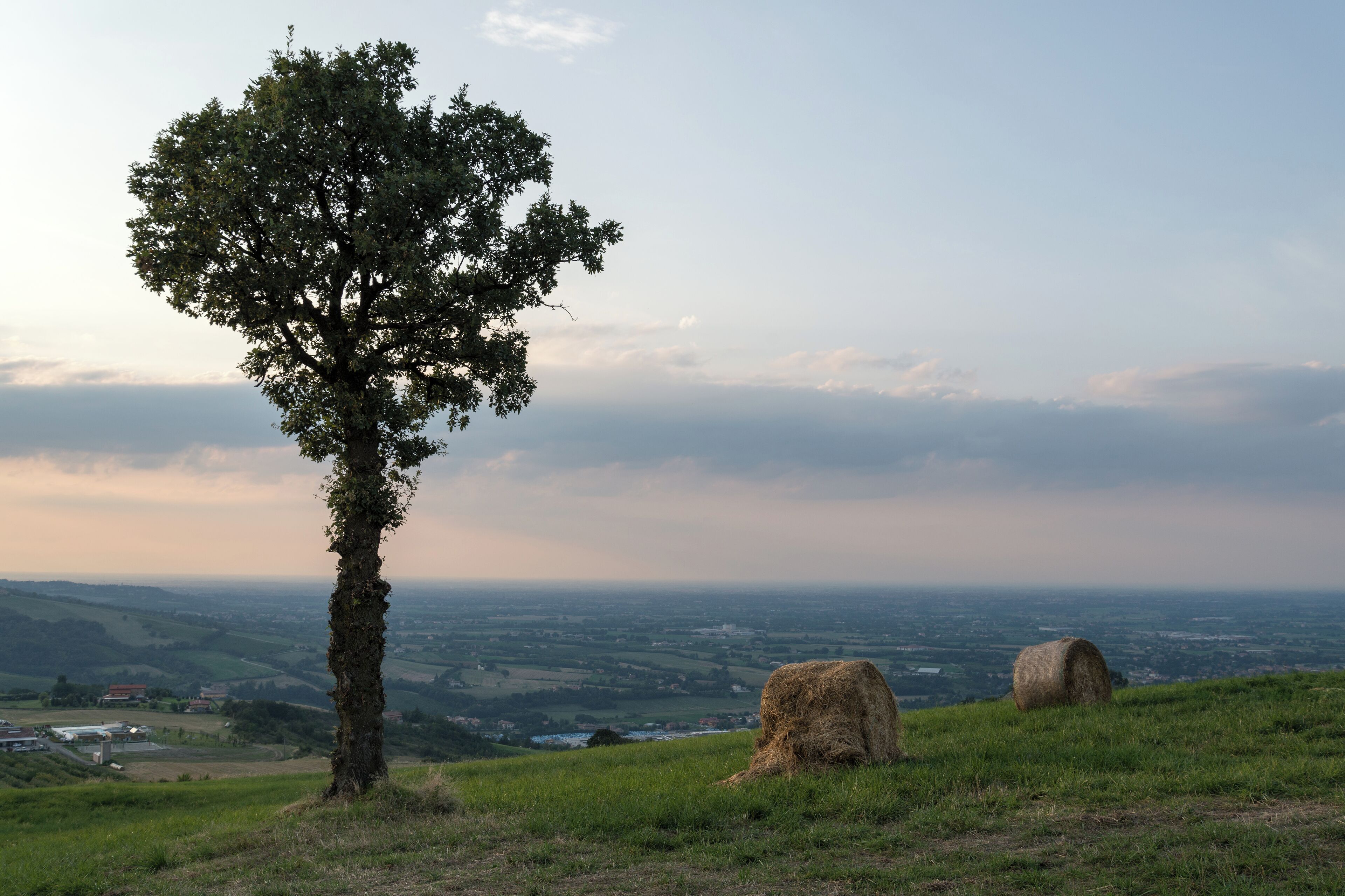 Pianura Padana - Scandiano (RE) Italia - 10 Agosto 2014