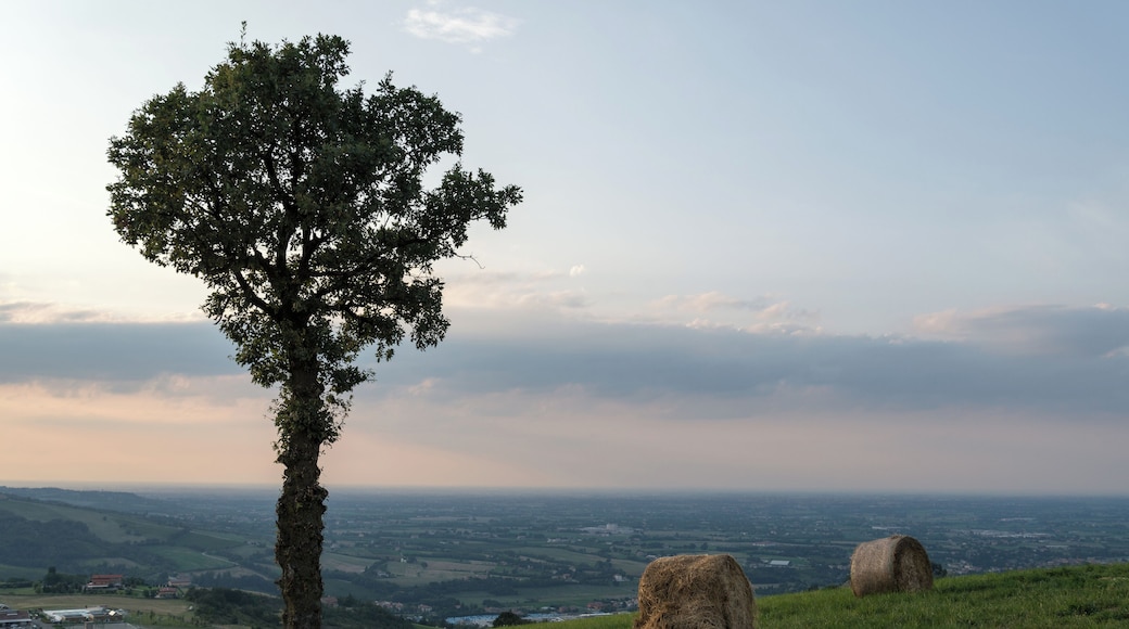 Pianura Padana - Scandiano (RE) Italia - 10 Agosto 2014