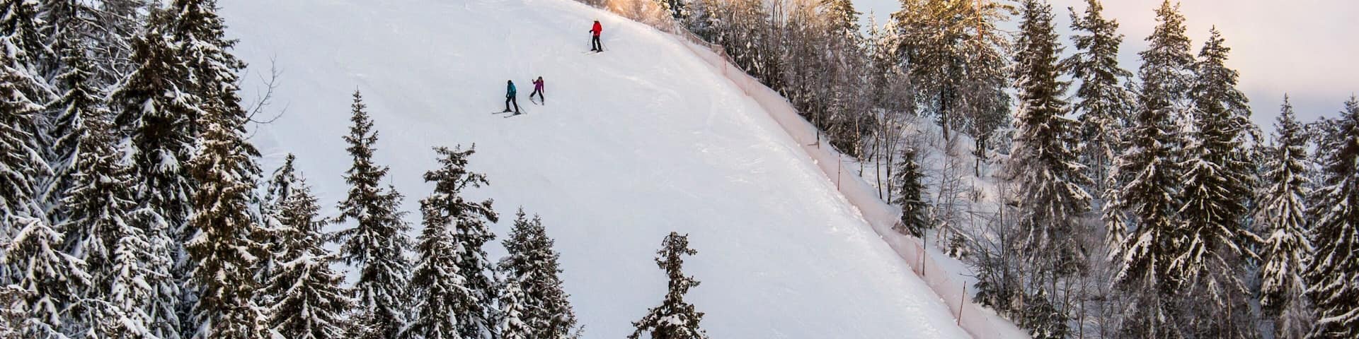Branas Ski Resort featuring forests, mist or fog and snow