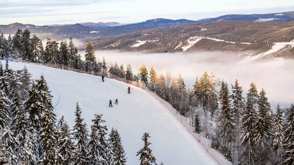 A snowy mountain landscape with skiers, dense evergreen forests, and distant hills.