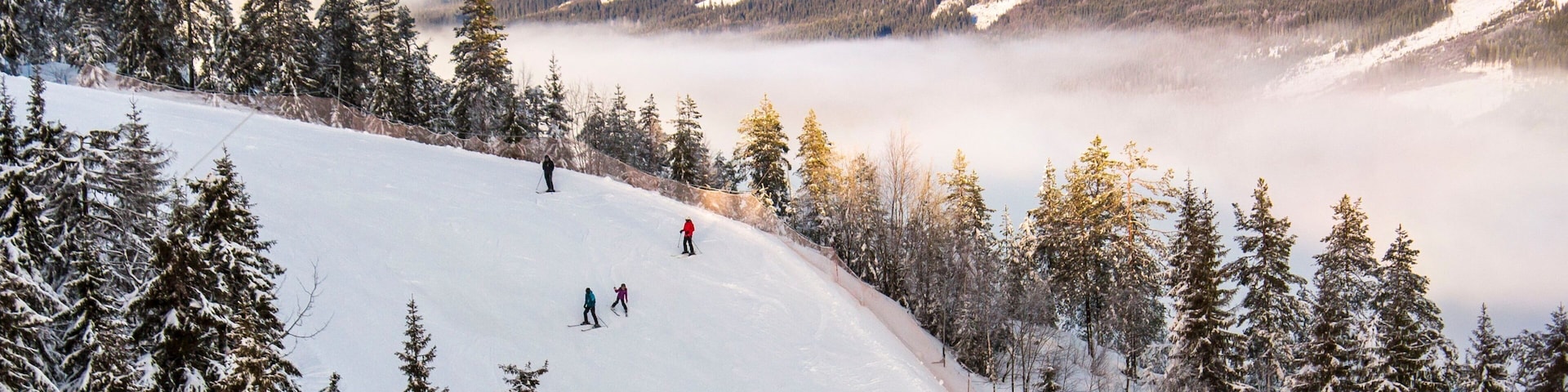 Branas Ski Resort featuring forests, mist or fog and snow
