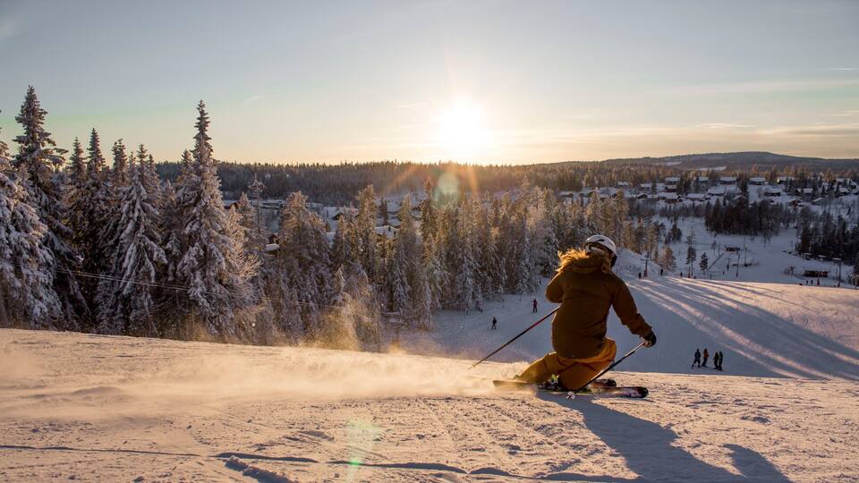 A skier on a snowy slope with a backdrop of snow-covered trees and a village in the distance.