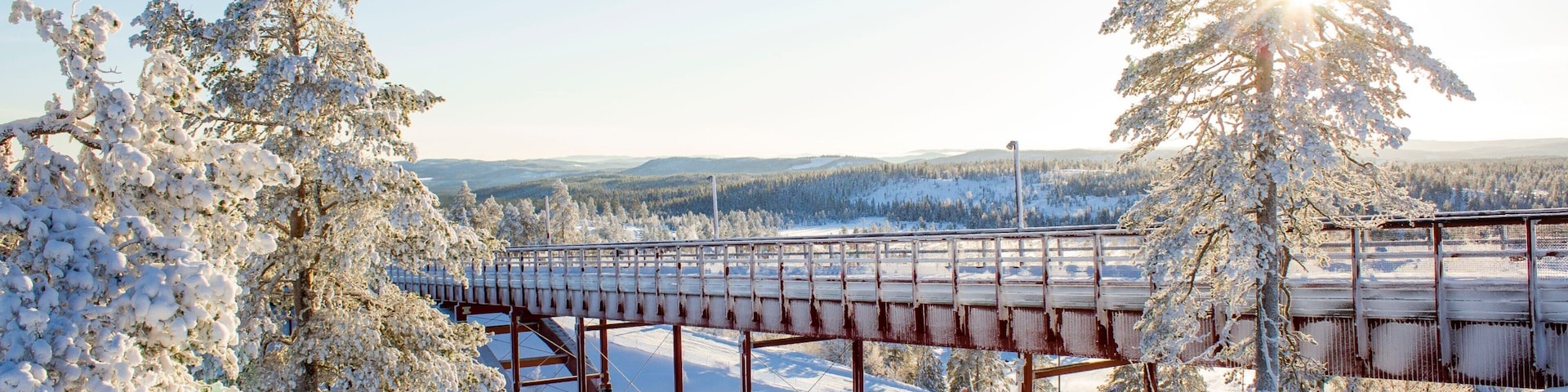 Branas Ski Resort featuring snow, a bridge and forest scenes