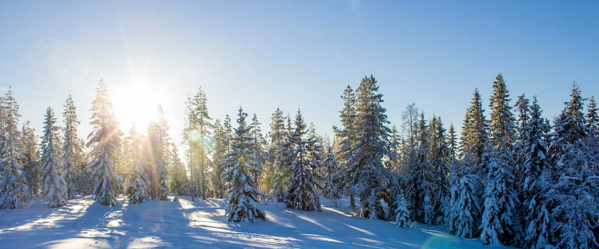 Branas Ski Resort , Syssleback, Suecia ofreciendo bosques y nieve