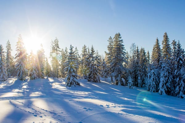 Branas Ski Resort mettant en vedette forĂȘts et neige