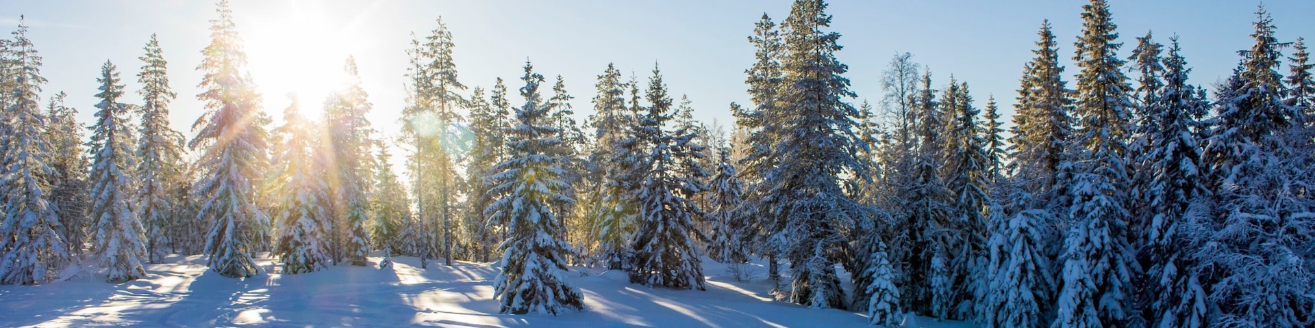 Branas Ski Resort featuring snow and forests