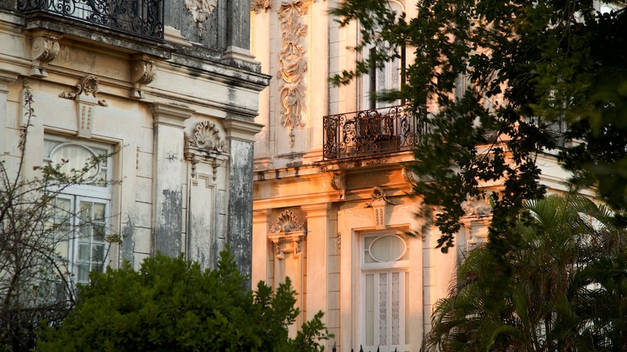 Paseo de Montejo showing heritage elements