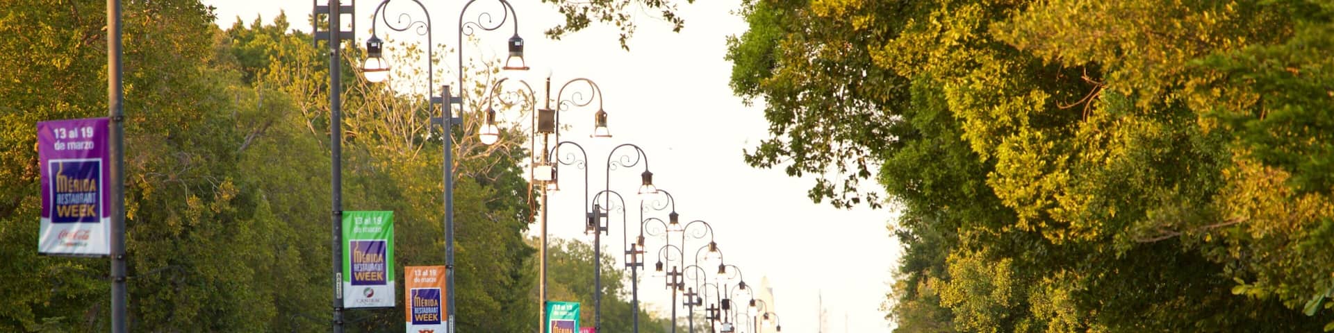 A busy urban street lined with trees and street lamps, with cars parked on the side and moving on the road.