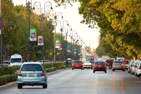 A busy urban street lined with trees and street lamps, with cars parked on the side and moving on the road.