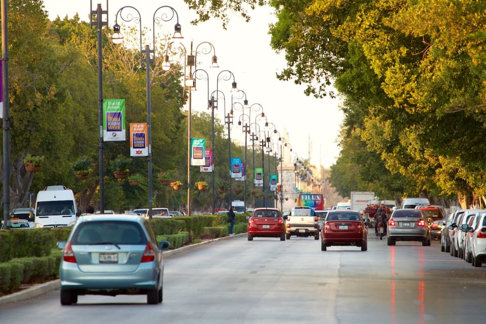A busy urban street lined with trees and street lamps, with cars parked on the side and moving on the road.