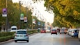 A busy urban street lined with trees and street lamps, with cars parked on the side and moving on the road.