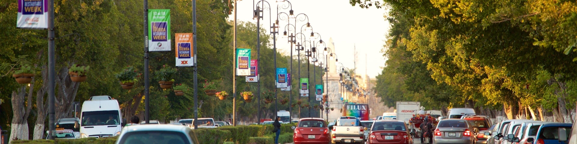 Una concurrida calle urbana bordeada de árboles y farolas, con automóviles estacionados al costado y circulando por la vía.