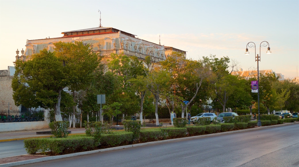 Paseo de Montejo which includes a garden and a sunset
