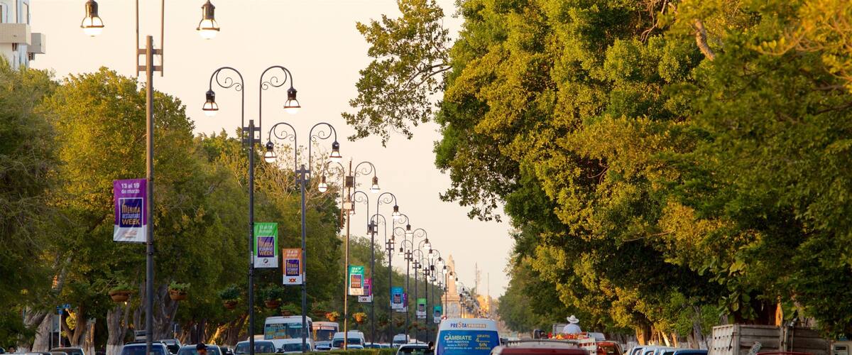 Paseo de Montejo showing a sunset