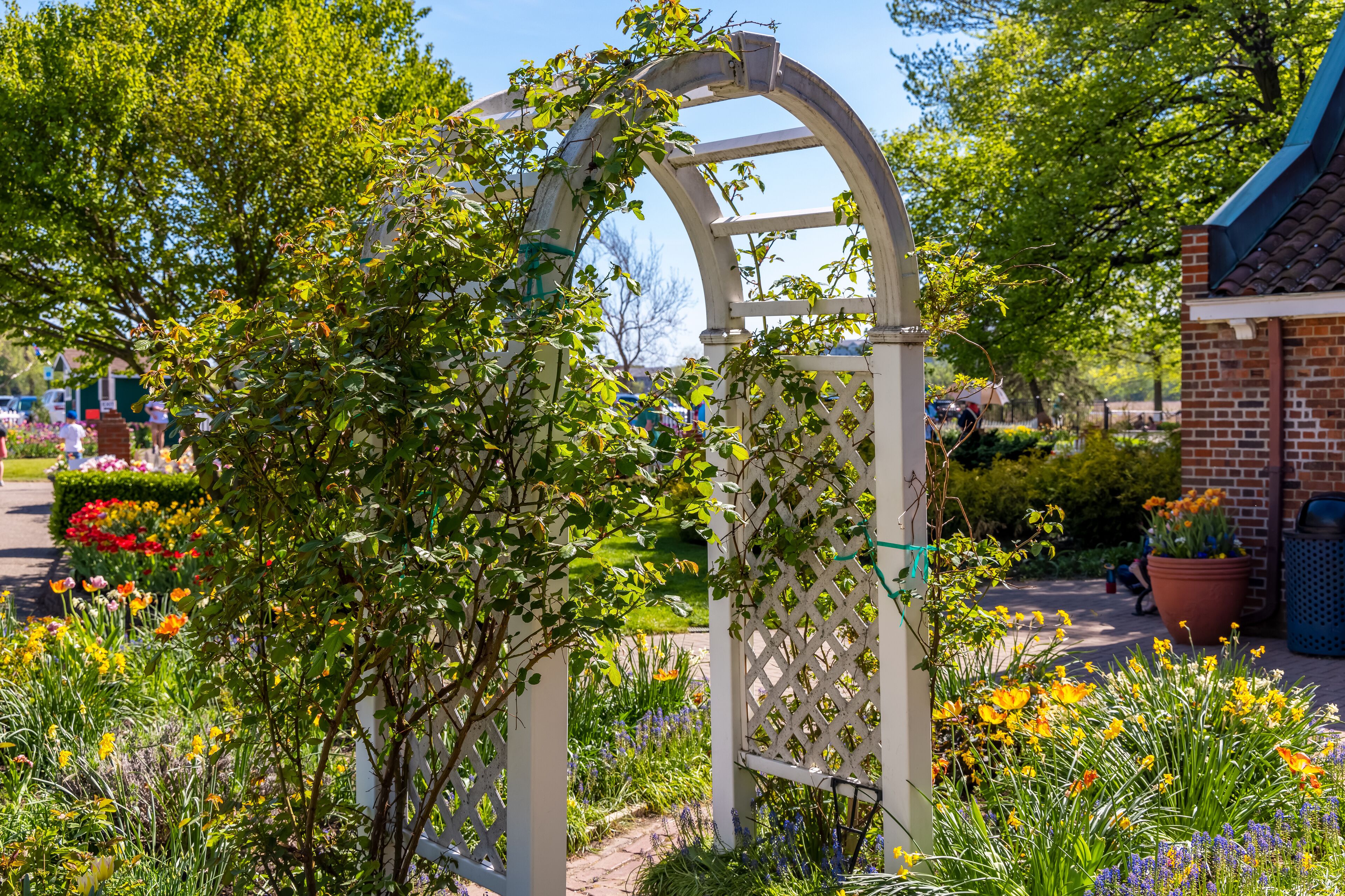 Garden arch in Windmill island gardens in Holland, Michigan during spring time.