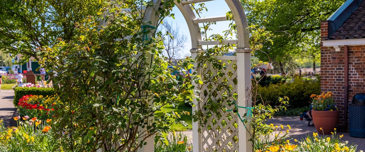 Garden arch in Windmill island gardens in Holland, Michigan during spring time.