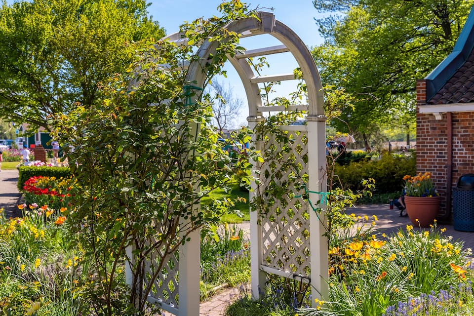 A garden with a white trellis archway, surrounded by various flowering plants and a brick building.