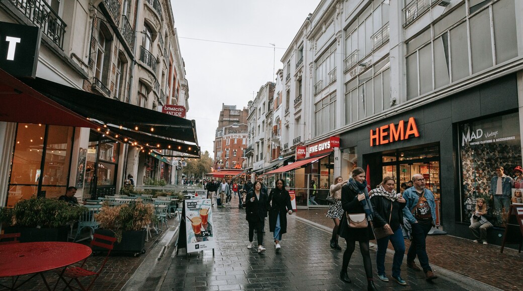 Historic Center featuring street scenes and a city