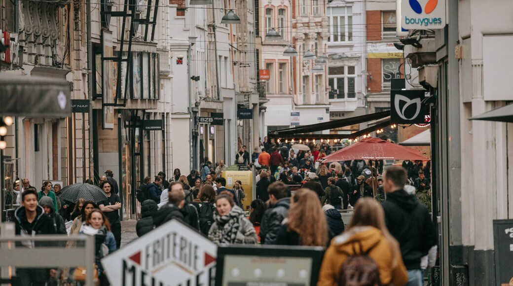 Historic Center featuring a city and street scenes