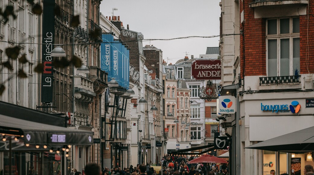 Historic Center showing a city