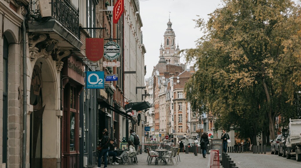 Historic Center showing street scenes, a city and heritage architecture