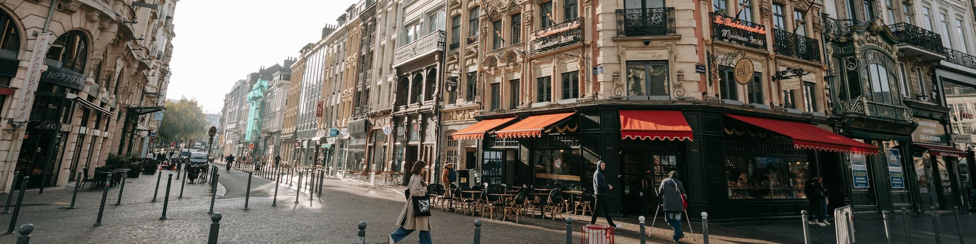 Historic Center showing street scenes and a city