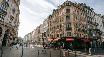 Historic Center showing street scenes and a city