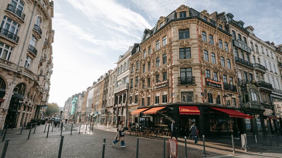 Historic Center showing street scenes and a city