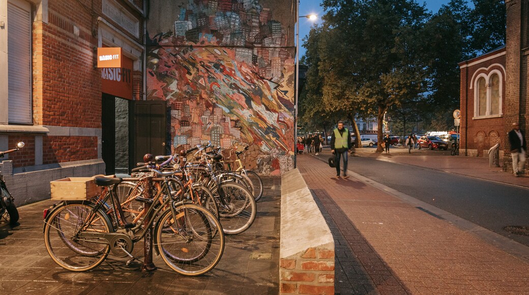 Wazemmes showing night scenes