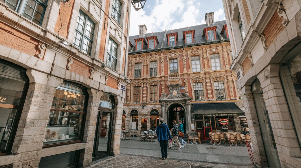 Old Lille which includes heritage architecture, street scenes and a city