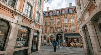 Old Lille which includes heritage architecture, street scenes and a city
