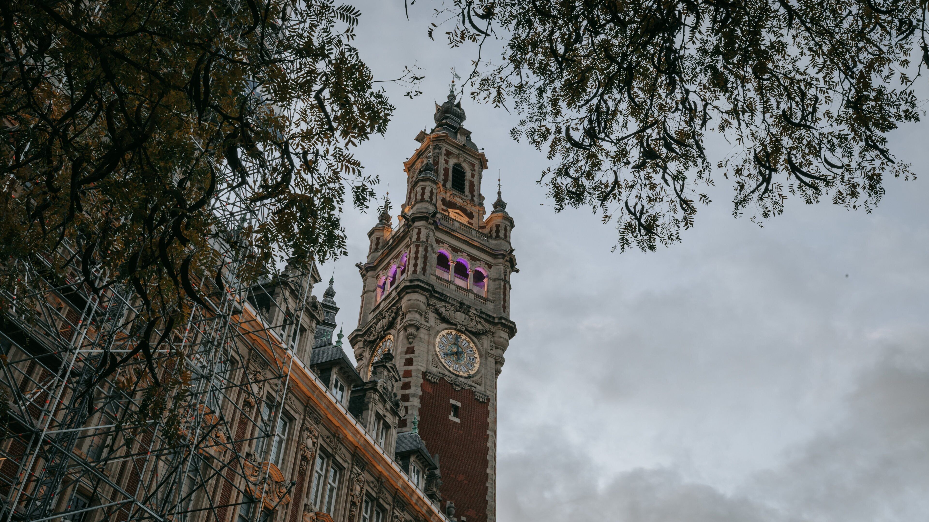 A historic clock tower with intricate architecture and scaffolding around it.