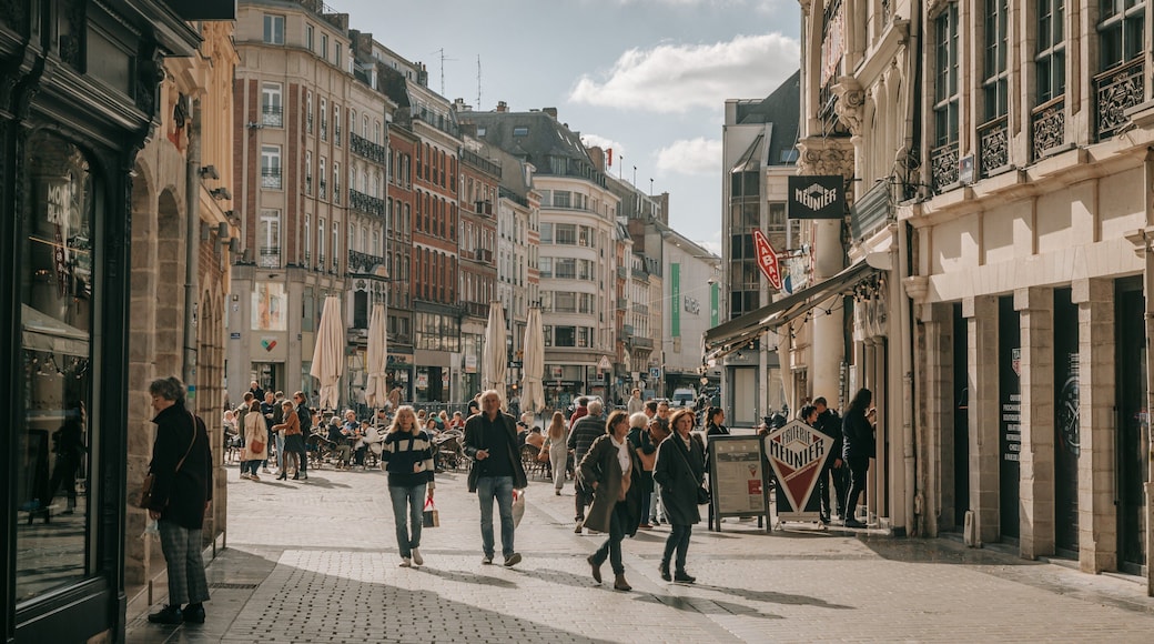 Old Lille which includes street scenes and a city