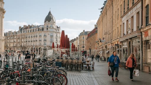 Old Lille featuring heritage architecture, a city and street scenes
