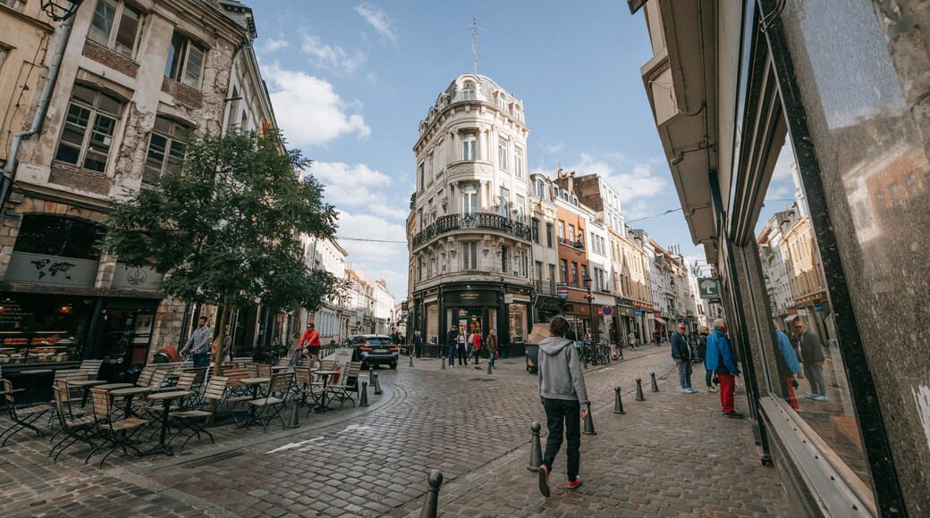 Old Lille which includes a city, street scenes and heritage architecture