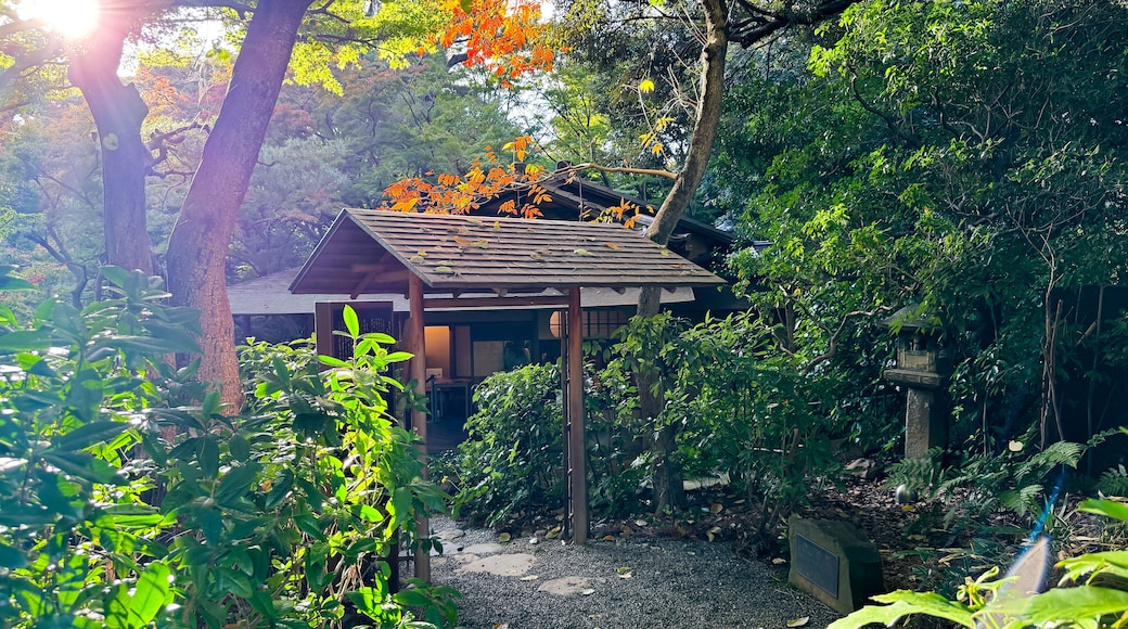 The beautiful views in Tokyo