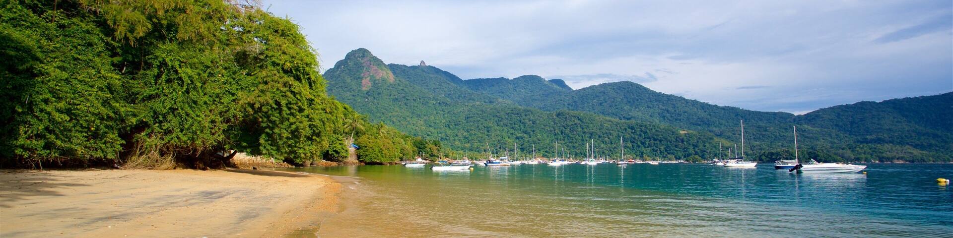 Japariz Beach showing general coastal views, a beach and a bay or harbor