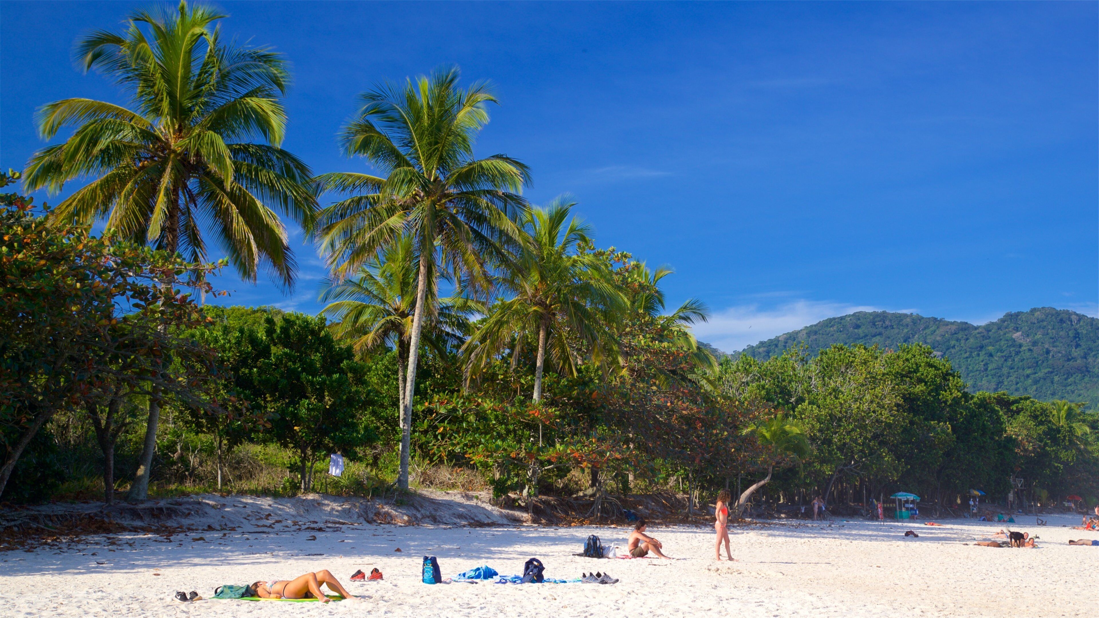 Lopes Mendes strand som inkluderar kustutsikter, en sandstrand och tropisk natur