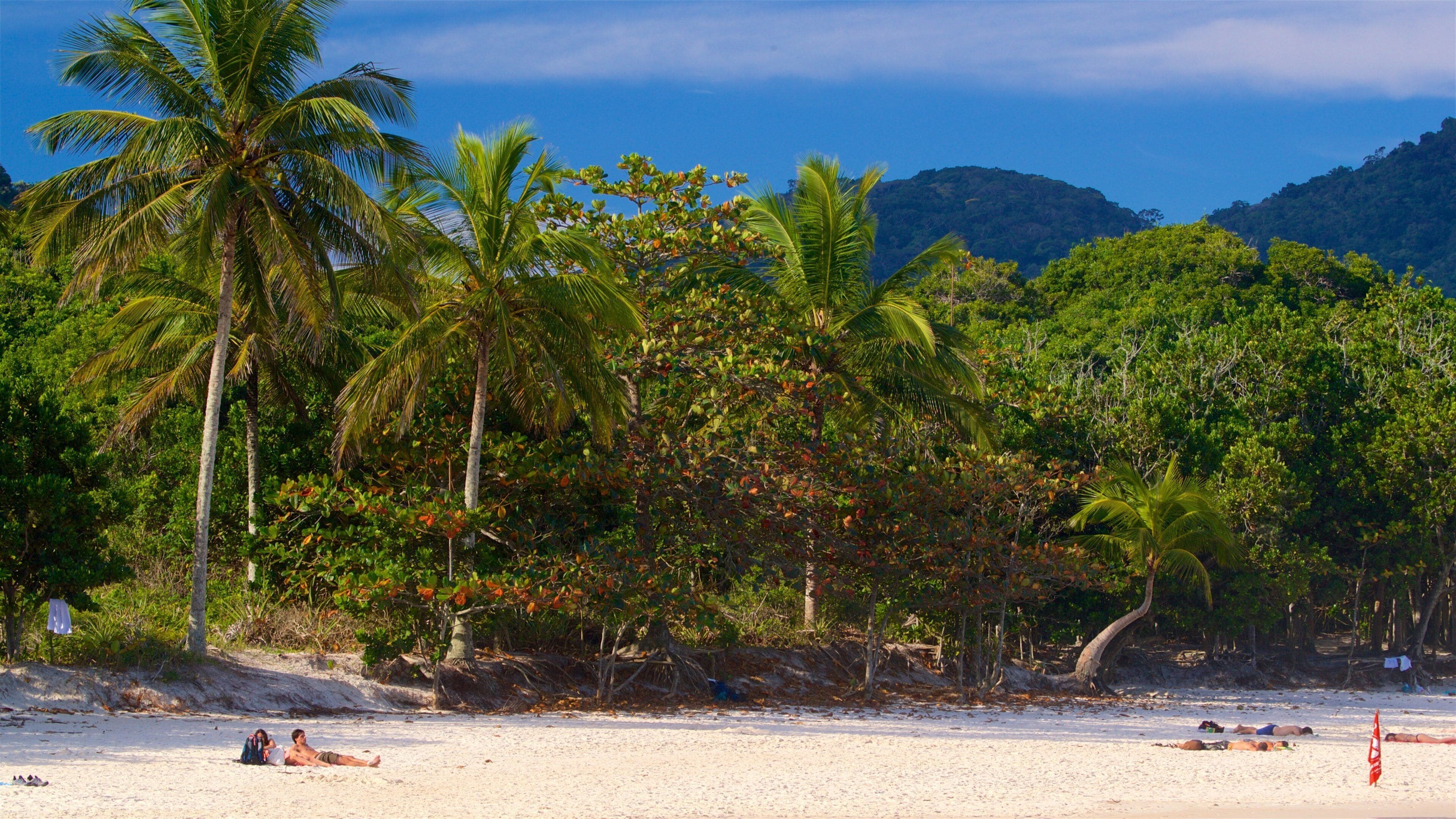 A beach with palm trees and a mountain in the background.