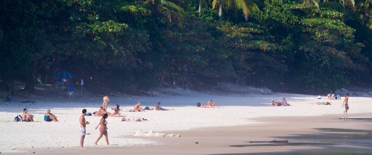 Lopes Mendes Beach which includes general coastal views, tropical scenes and a sandy beach