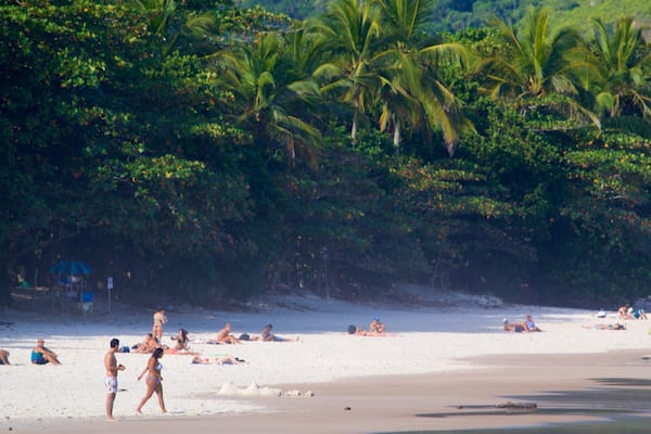Plage de Lopes Mendes montrant scĂšnes tropicales, vues littorales et plage